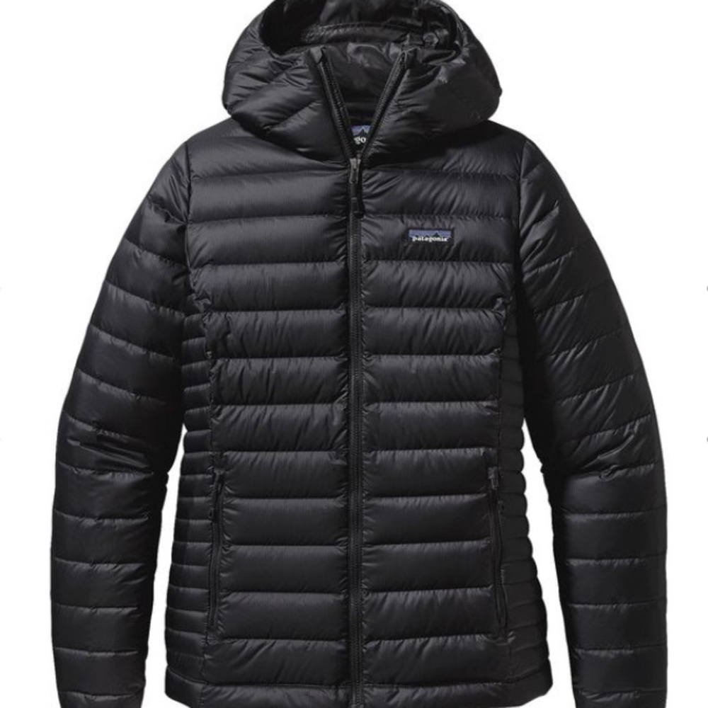 Patagonia Down Sweater Hoodie